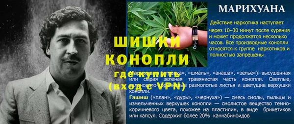 гидра Костерёво