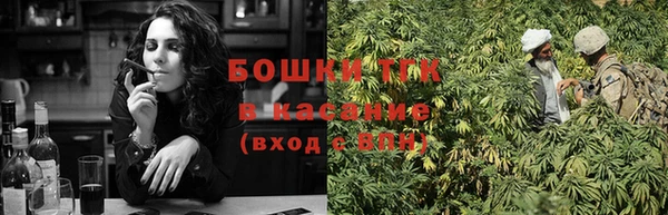гидра Костерёво