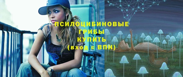 гидра Костерёво