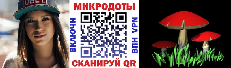 Купить  Заречный  Псилоцибиновые грибы Cubensis 